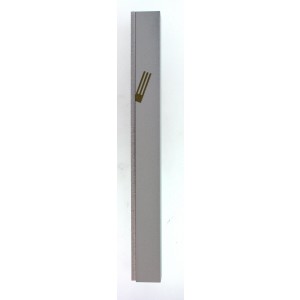 White Aluminum Mezuzah with Removable Panel and Gold Letter Shin by Adi Sidler Mezuzot